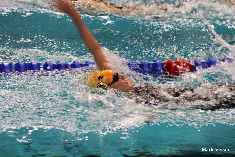 Senioren Biesboschzwemmers blinken uit in competitie