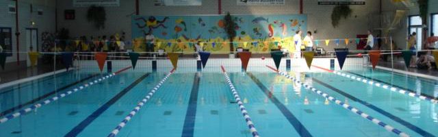 Dozijn ereplaatsen jonge Biesboschzwemmers